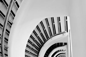 Líneas y formas