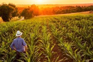 El campo es para amarlo