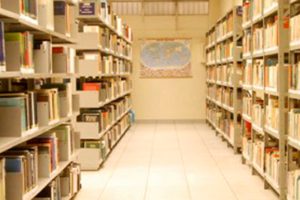 El polvo de las bibliotecas