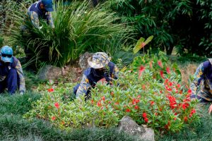 Los tres jardineros