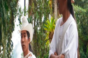 Identidad y representación de las curules especiales en el panorama político actual en Colombia 