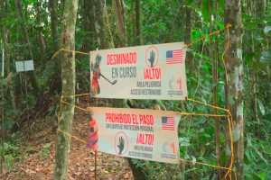 Desminado en Urabá: “el paraíso verde donde es peligroso caminar”