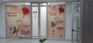 Trasfondo y retos en la lucha contra el cáncer de mama: Un análisis de la sensibilización y el apoyo en el Área Metropolitana