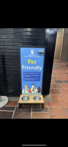 La burbuja del pet friendly