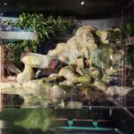 El Parque Explora renueva su vivario para la conservación de especies rescatadas