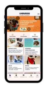 La adopción animal en Medellín da el salto a las aplicaciones móviles