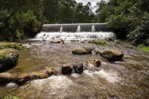 Agenda y acciones de Medellín para proteger el agua
