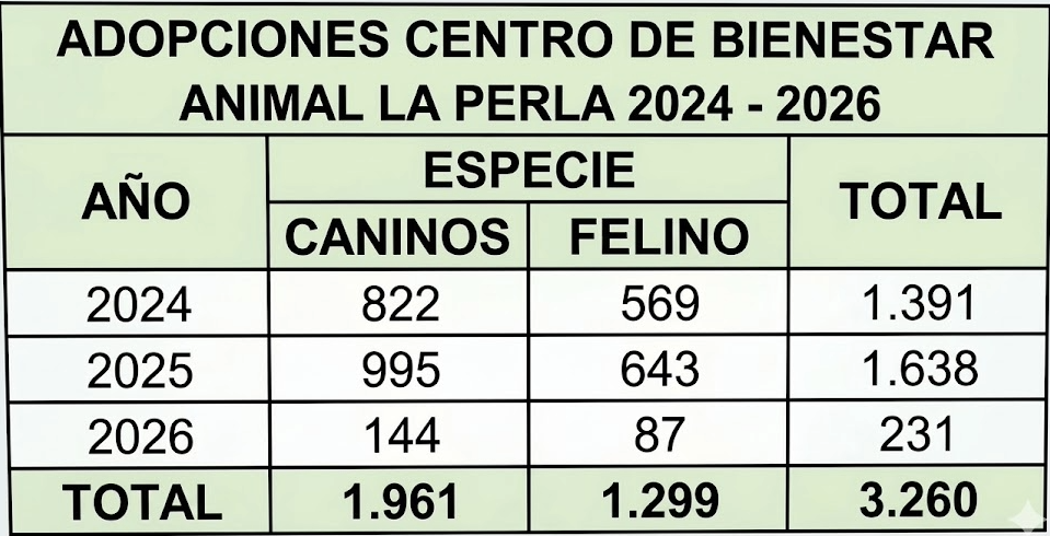 Foto mejorada con IA. Cortesía de Elizabeth Corral Subsrecretaria de Protección y Bienestar Animal